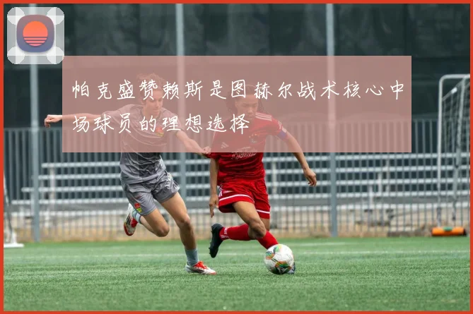 帕克盛赞赖斯是图赫尔战术核心中场球员的理想选择