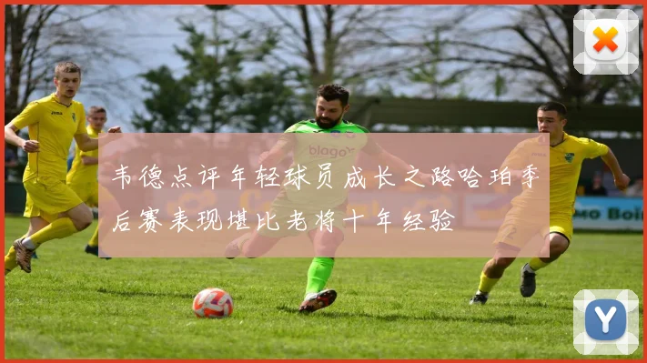 韦德点评年轻球员成长之路哈珀季后赛表现堪比老将十年经验